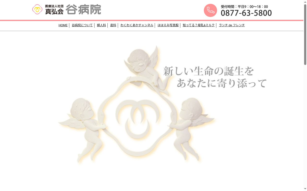 医療法人社団真弘会　谷病院の公式サイトのスクリーンショット