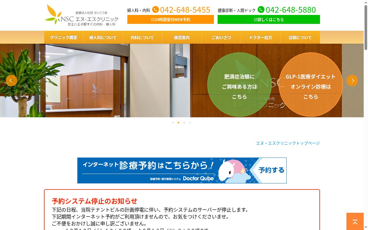 医療法人社団せいこう会　エヌ・エスクリニックの公式サイトのスクリーンショット