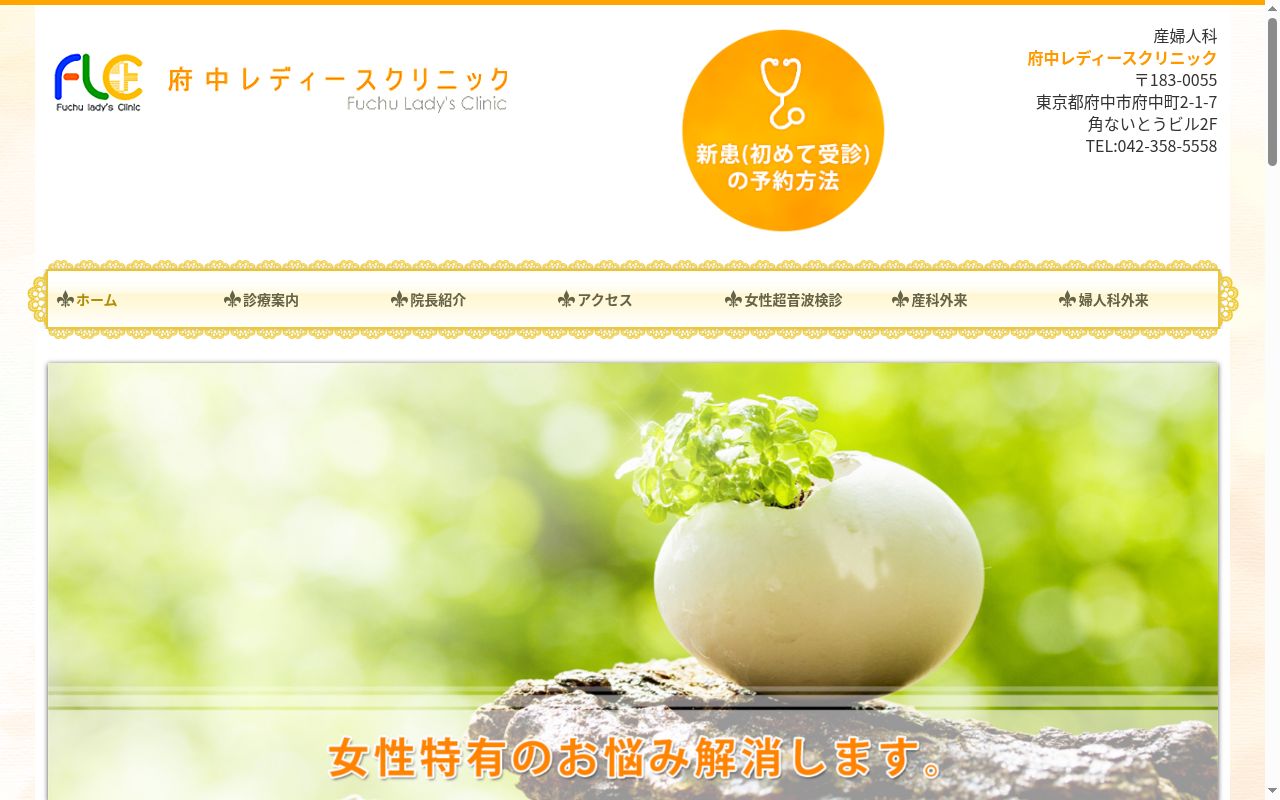 府中レデースクリニックの公式サイトのスクリーンショット