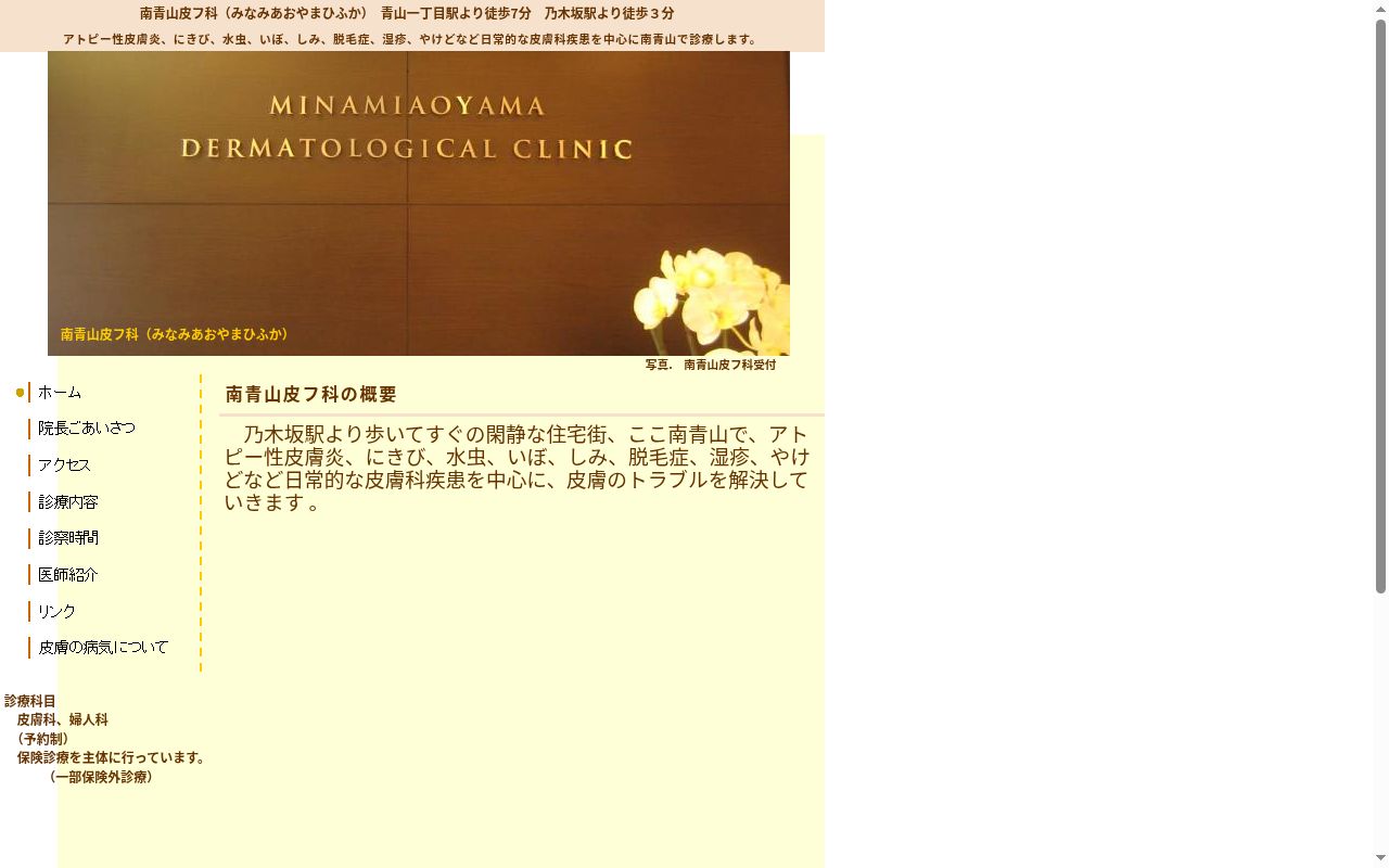 南青山皮フ科の公式サイトのスクリーンショット