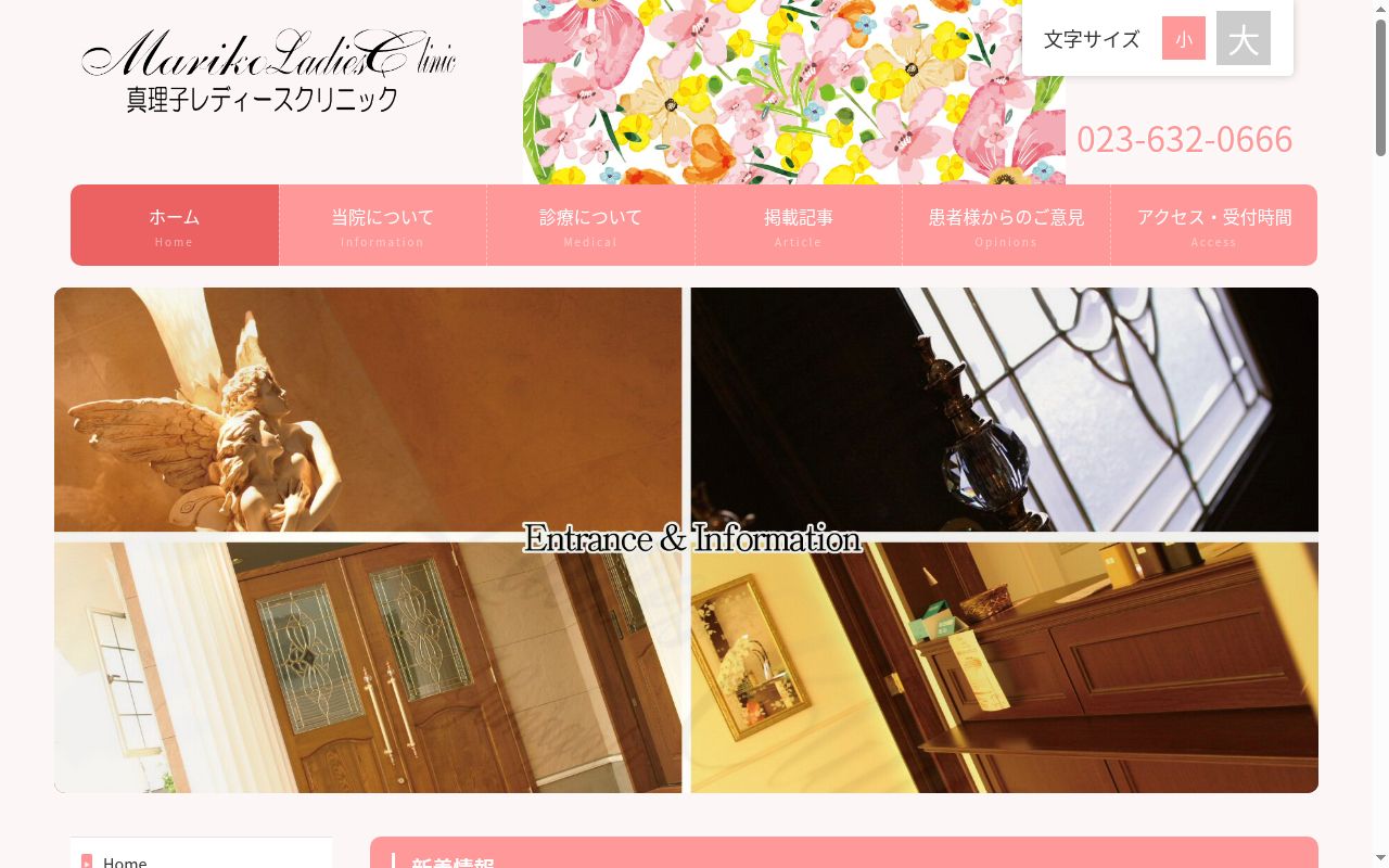 医療法人真理子レディースクリニックの公式サイトのスクリーンショット