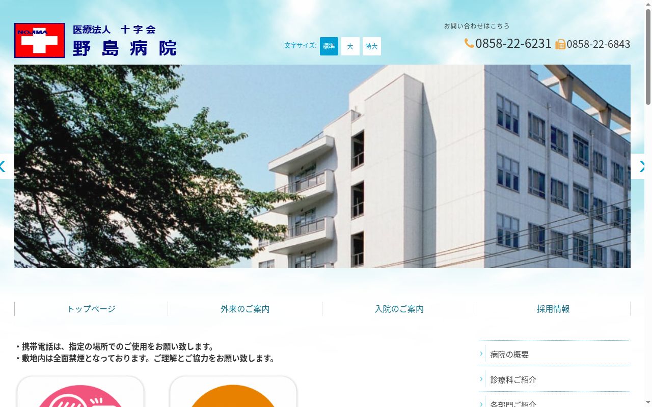 医療法人十字会 野島病院の公式サイトのスクリーンショット