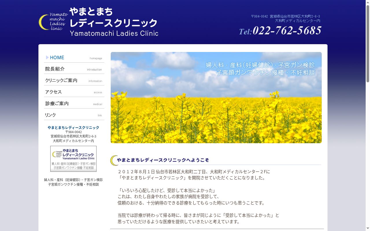 医療法人　やまとまちレディースクリニックの公式サイトのスクリーンショット