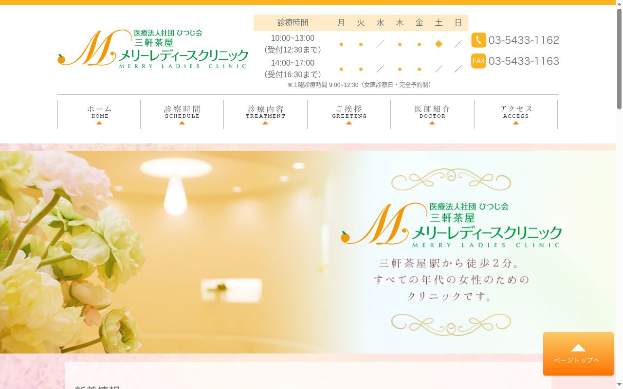 医療法人社団ひつじ会三軒茶屋メリーレディースクリニックの公式サイトのスクリーンショット