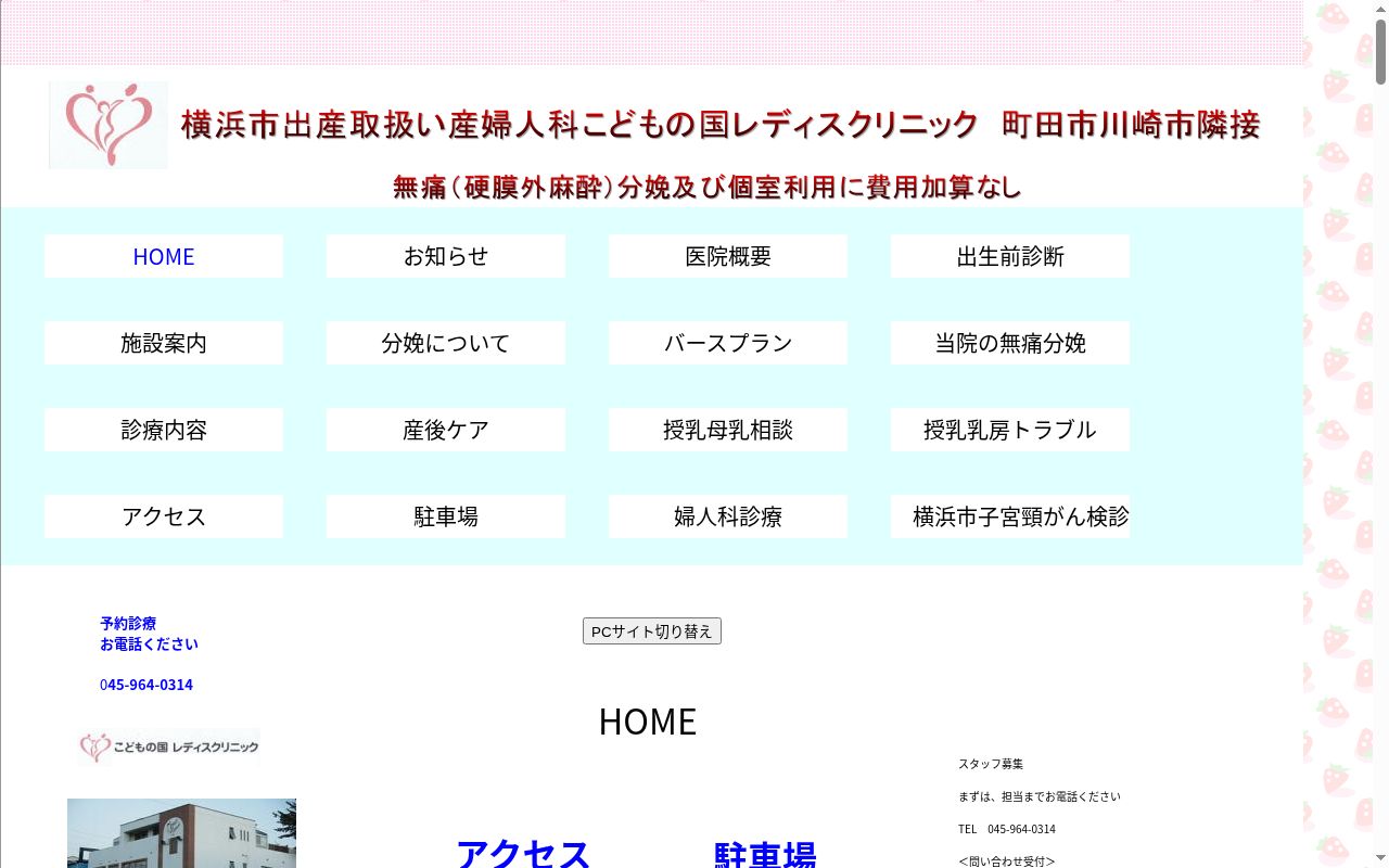 こどもの国レディスクリニックの公式サイトのスクリーンショット