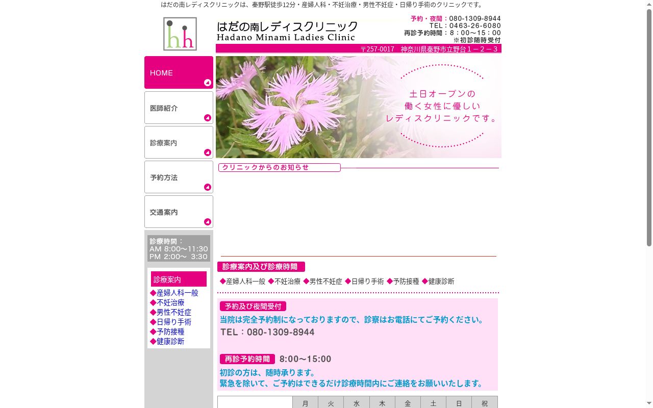 はだの南レディスクリニックの公式サイトのスクリーンショット