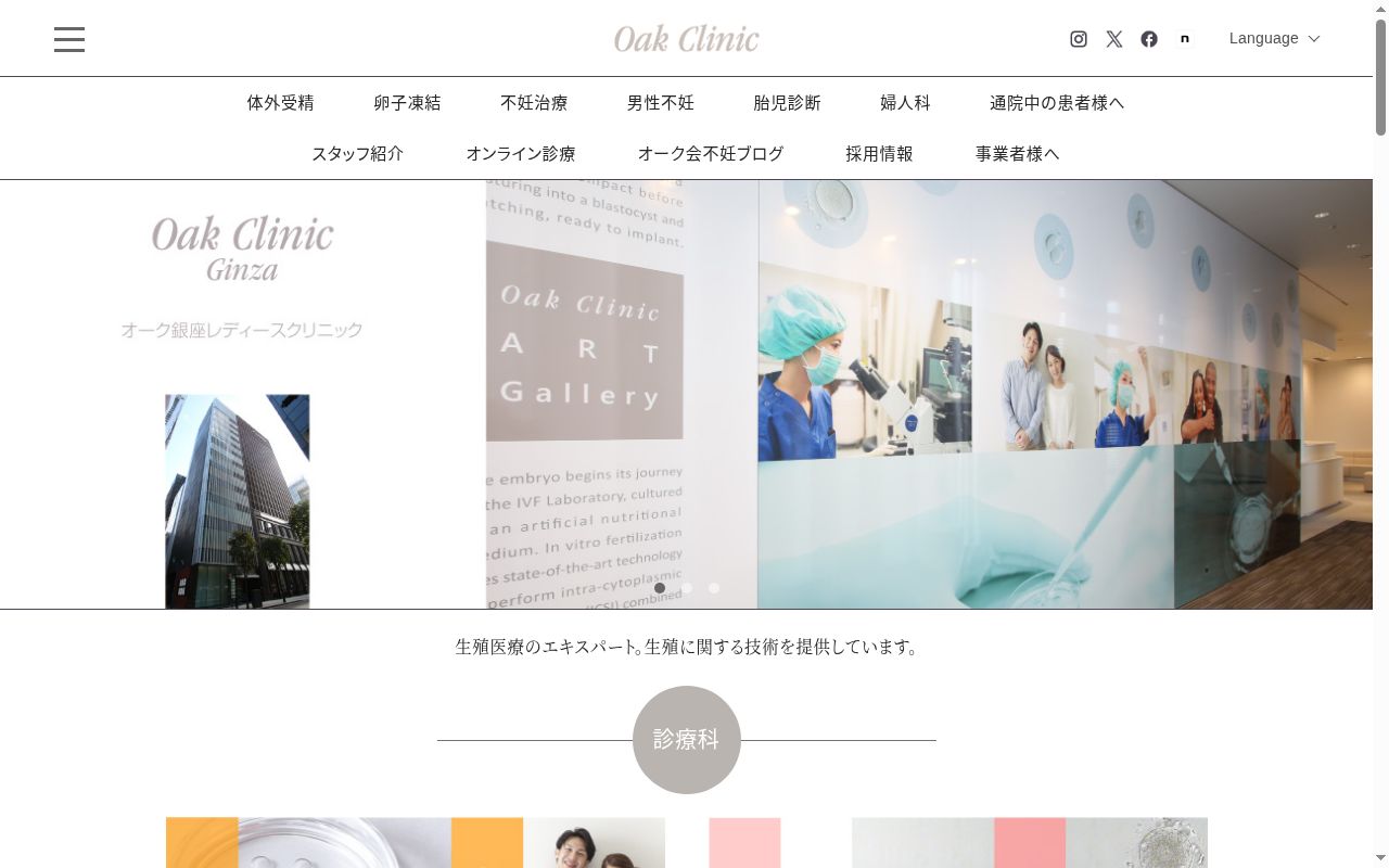 医療法人オーク会 オーク銀座レディースクリニックの公式サイトのスクリーンショット